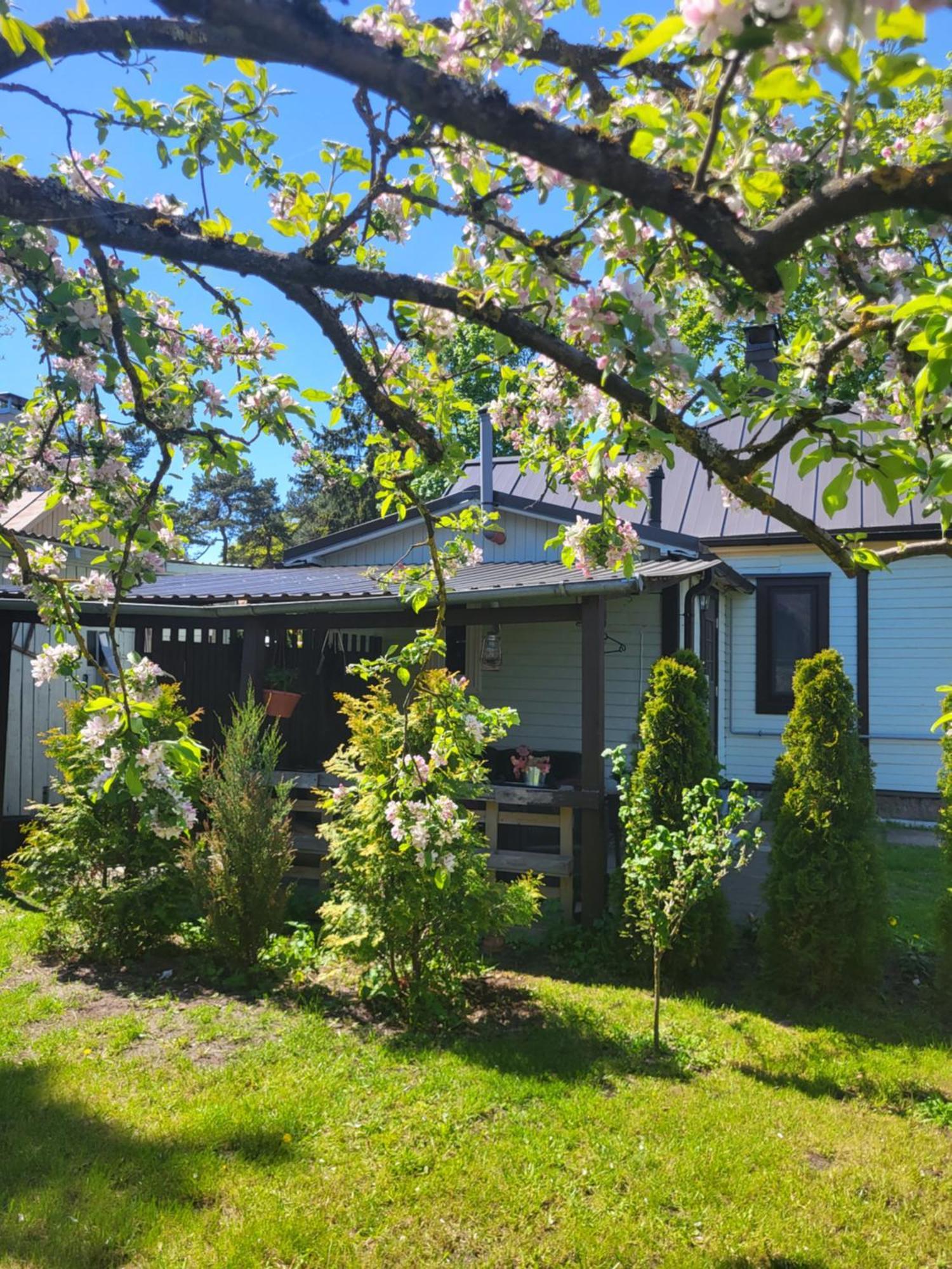 Guest House Sunny Jūrkalne المظهر الخارجي الصورة